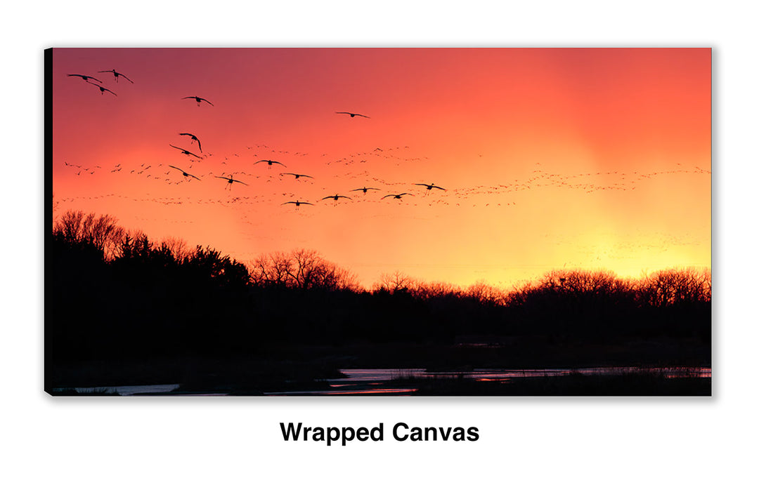 Platte River Sanctuary