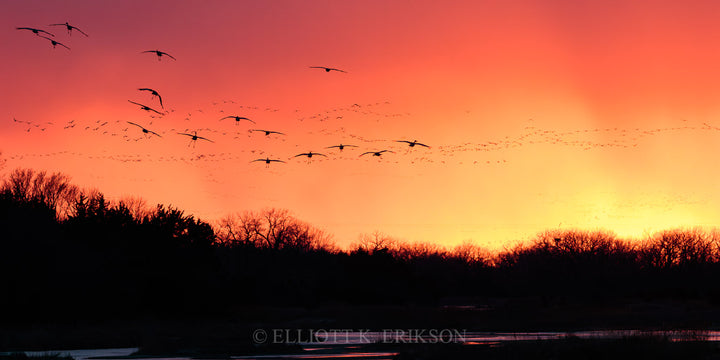 Platte River Sanctuary