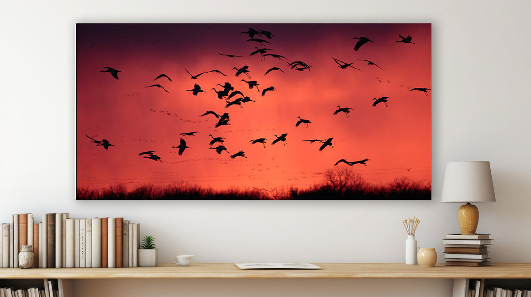 Ancient Migration – Sandhill Cranes