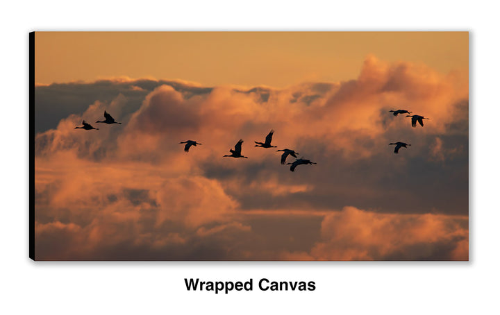 Call of the Sandhill