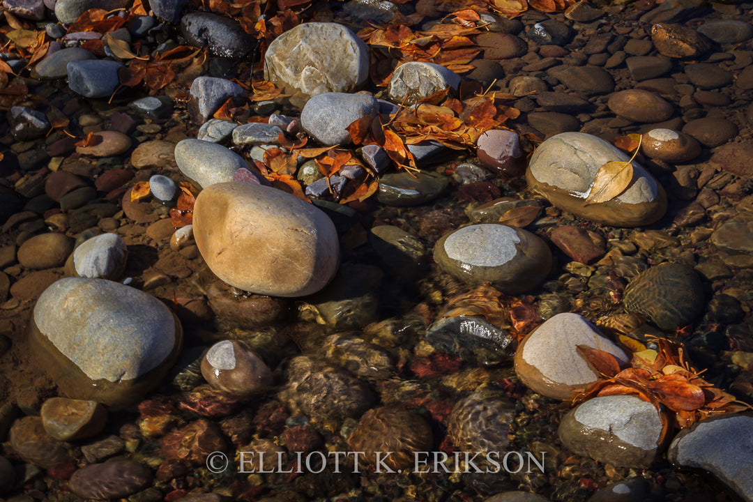 Smooth river rocks and orange autumn leaves on a pebbly surface in a creek bed.