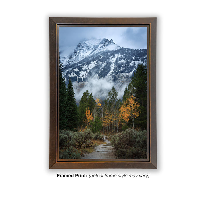 Trail to the Wilderness