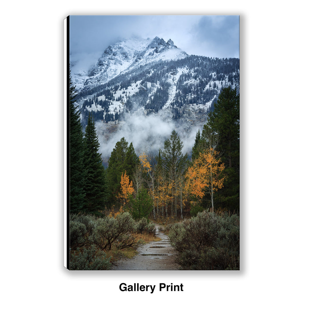 Trail to the Wilderness