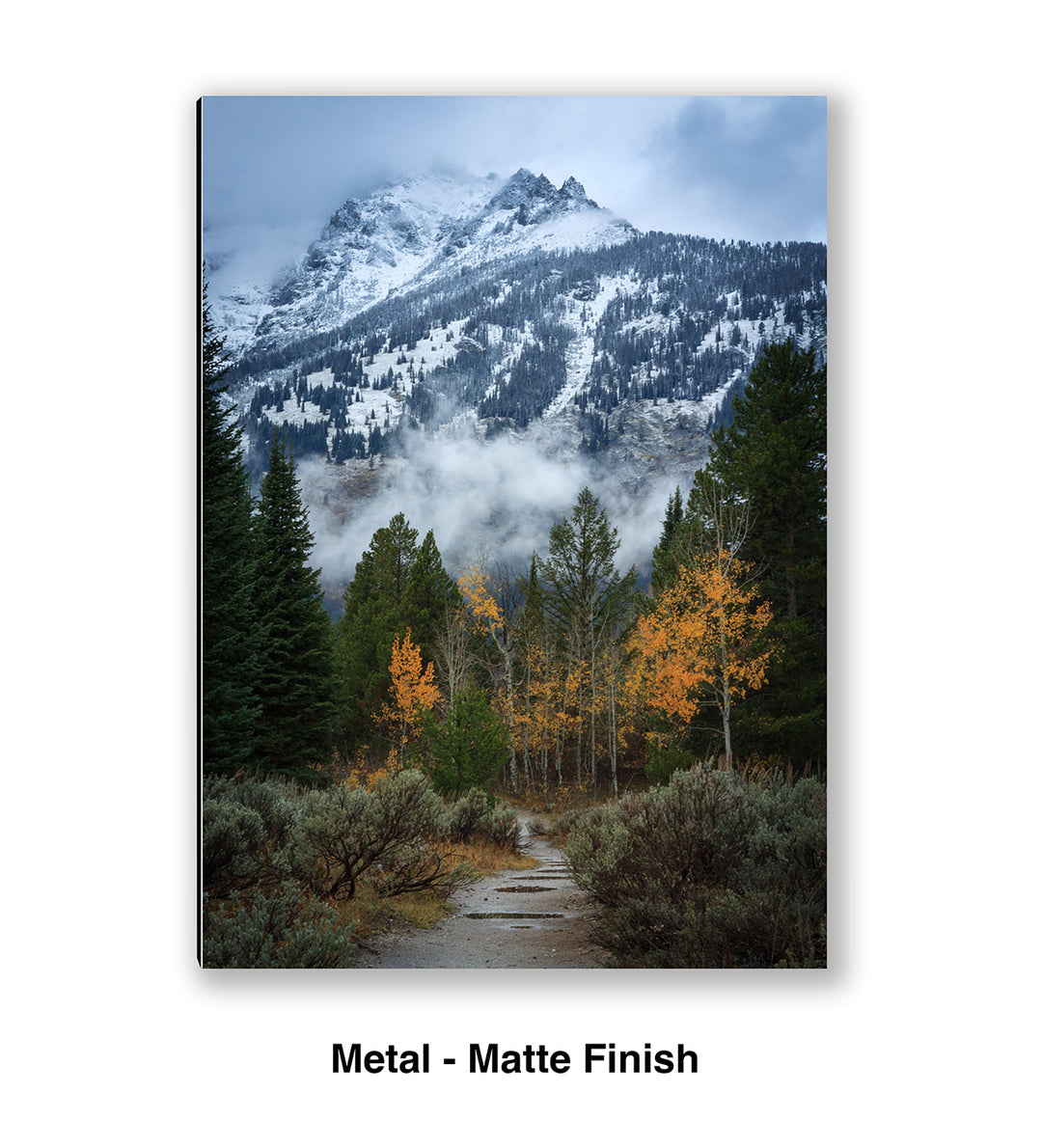 Trail to the Wilderness