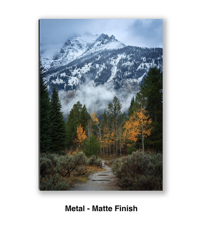 Trail to the Wilderness