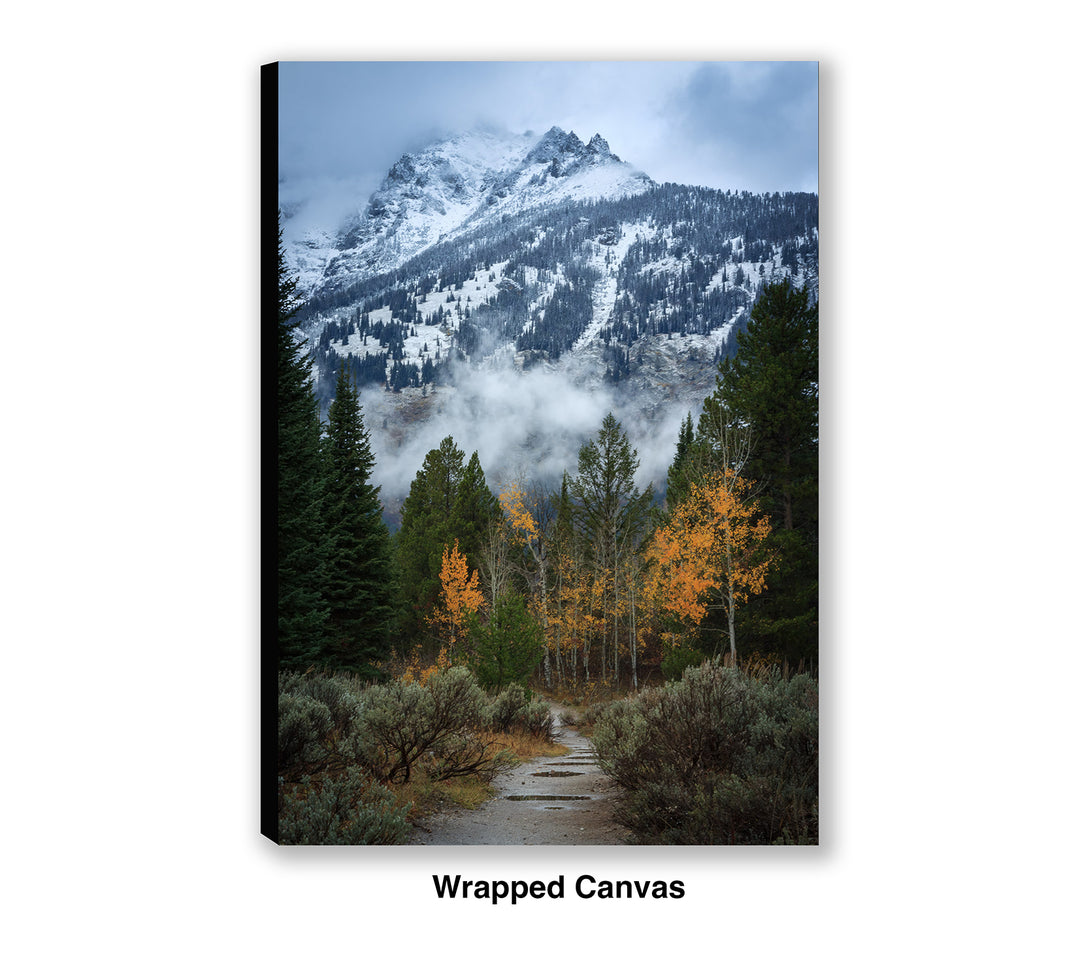 Trail to the Wilderness