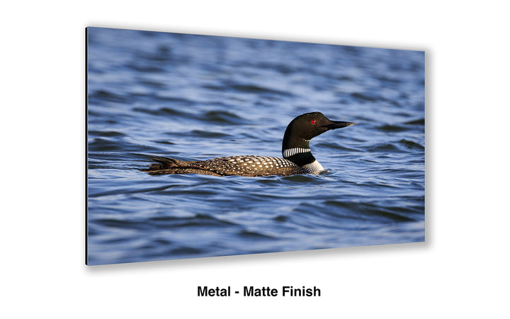 Visitor from the North