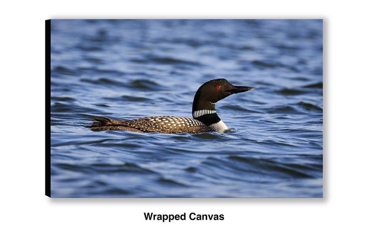 Visitor from the North