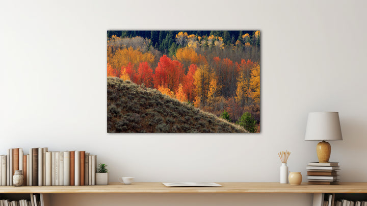 Autumn Glory